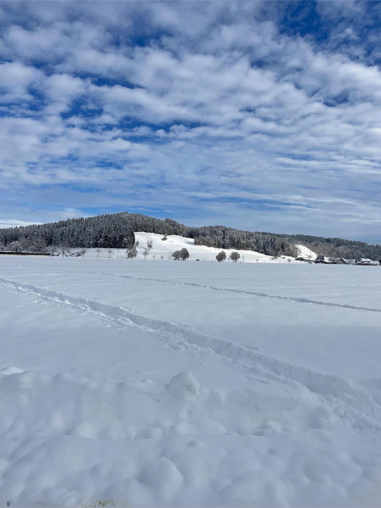 Salty Sol Lägenhet Leutkirch im Allgäu Exteriör bild