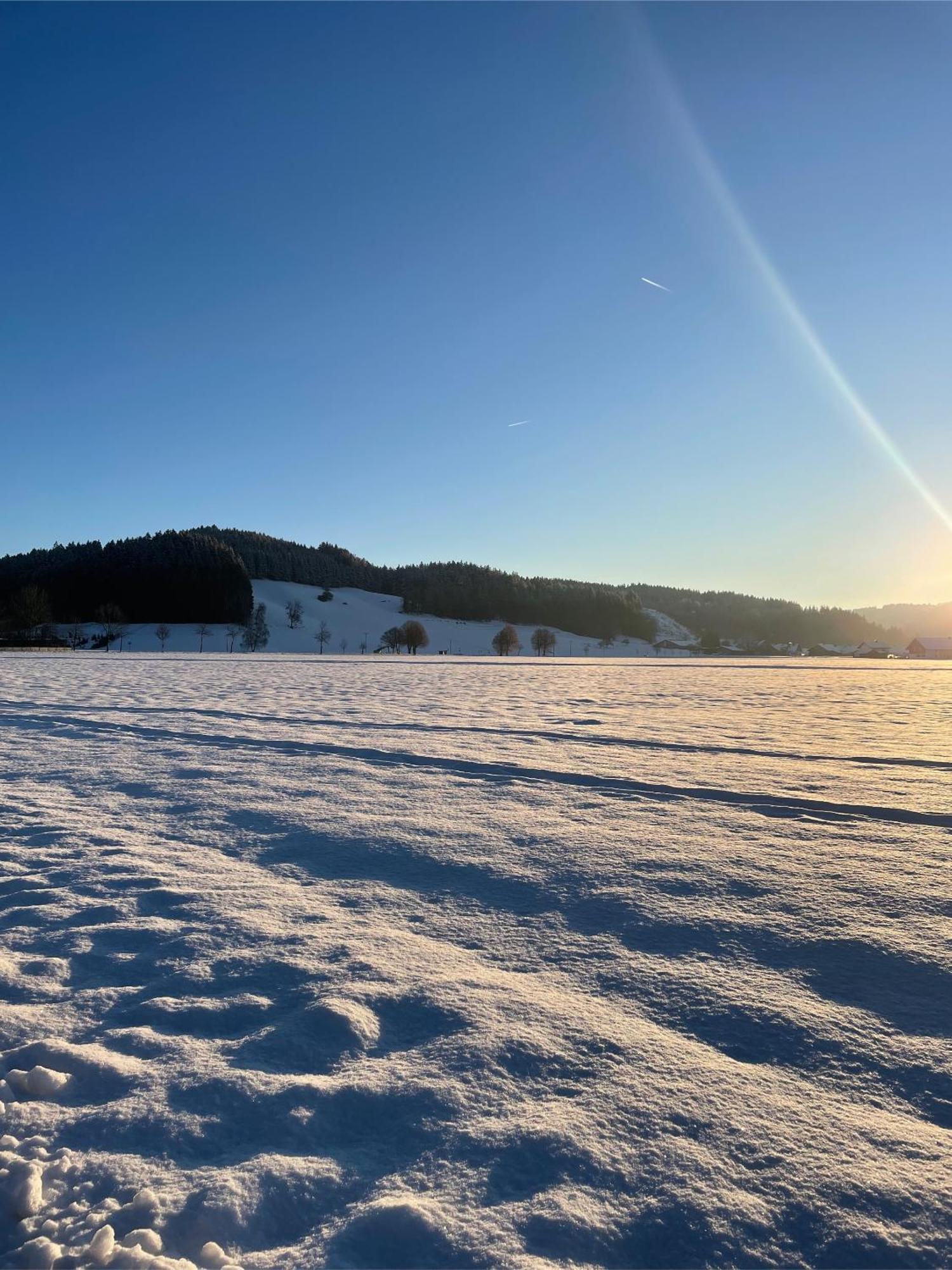 Salty Sol Lägenhet Leutkirch im Allgäu Exteriör bild